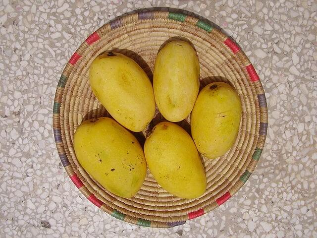 Chausa/Chaunsa Mango, Pakistan is third most popular mango of the world