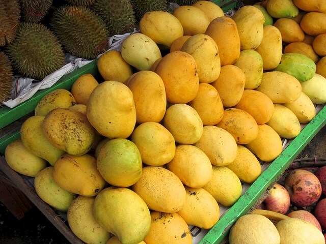 Diamond Mango, Myanmar, Very tasty and popular mango