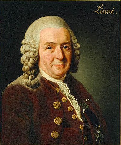 Carl Linnaeus Photo